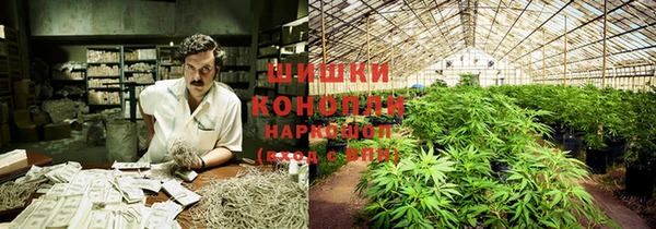 ГАЛЛЮЦИНОГЕННЫЕ ГРИБЫ Волосово