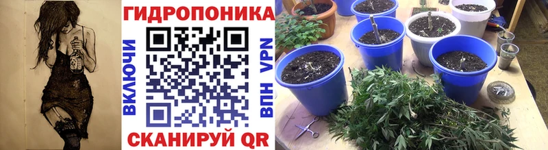 omg как зайти  купить наркоту  Петухово  Бошки Шишки сатива 